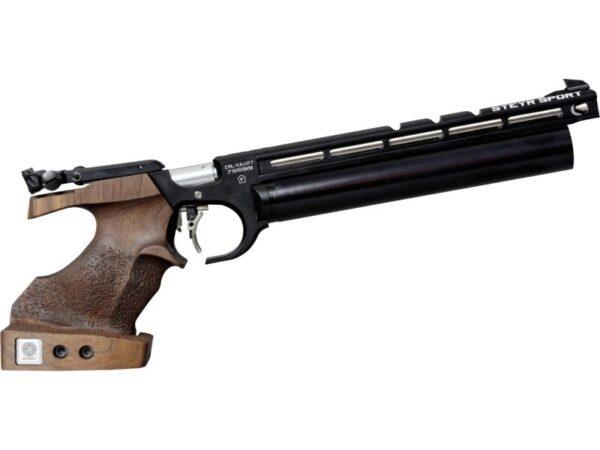 steyr evo 10